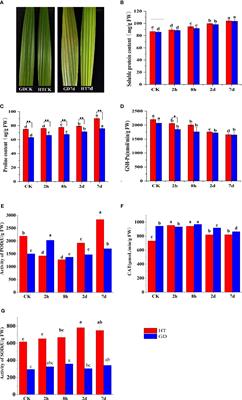 Integrated transcriptomic and metabolomic data reveal the cold stress responses molecular mechanisms of two coconut varieties